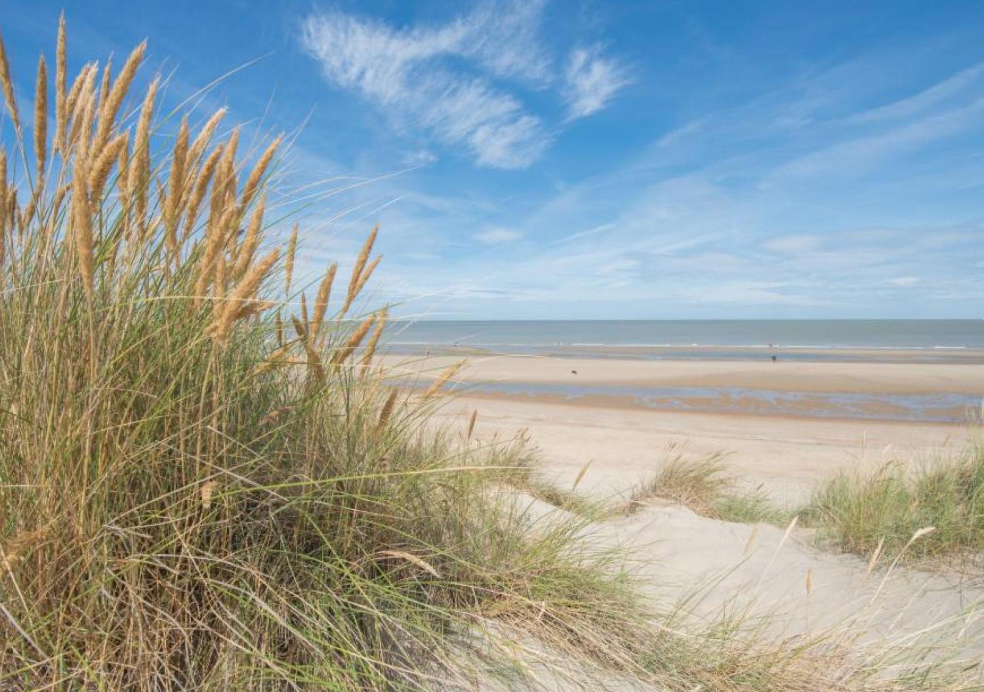 Salty - Vakantiehuisje Op De Grens Van Bredene-De Haan Kültér fotó